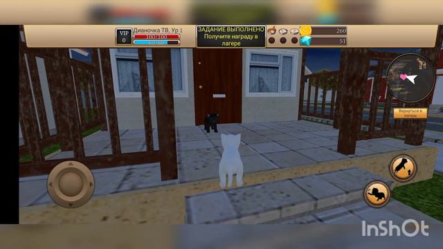 "Симулятор кота-Жизнь котёнка" #1 ловим крыс и лечебные травы.///Дианочка ТВ/// смотреть онлайн