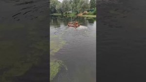 Из остатков труб состряпал самоделку. Подмосковье, Королёв