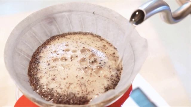 SHARDOR Electric Coffee Grinder Reviews | Best Coffee Grinder Reviews In 2022 смотреть онлайн