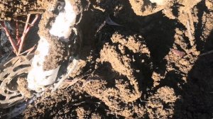 Домашний выезд. Тиховский гидроузел. х. Колёсики. х. Маевский