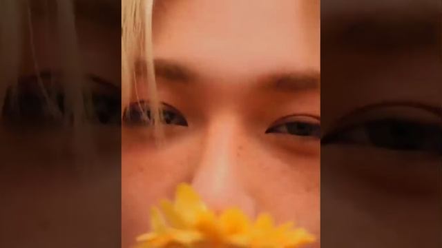 Stray Kids смотреть онлайн