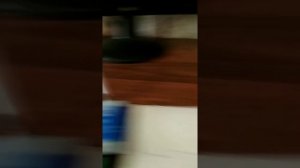 электропастух  на солнечных батареях.