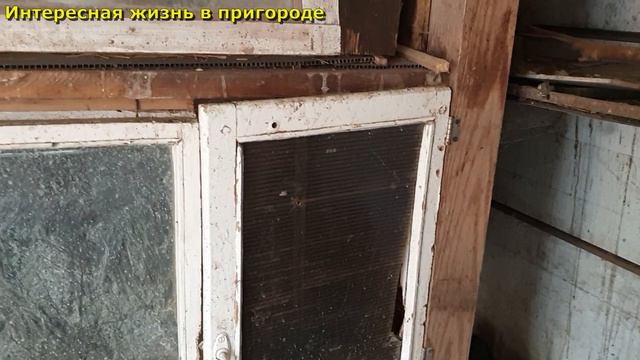Пробую жареное утиное яйцо, Подрезали крылья дикому селезню, Влог