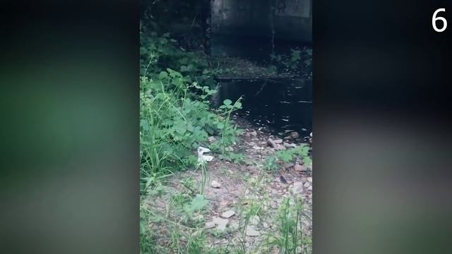 10 Самых Страшных Видео Приложения "Рандонавтика" смотреть онлайн