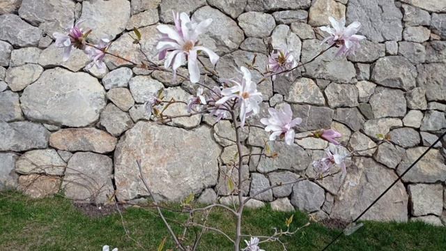 Евгений Косенков. Я весь состою из  ошибок (Мечты дурака). Христианские песни. смотреть онлайн