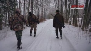 Первая охота на зубра в Красном бору. Охота в Беларуси.