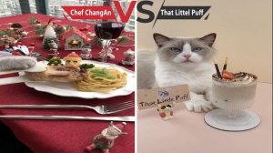 Chef Cat ChangAn VS That Little Puff | Chef Cat Cooking #chefcat  #chefcatchangan #thatlittlepuff