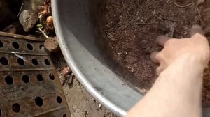 Топливные брикеты своими руками