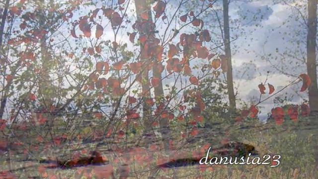 Ave Maria - Violin - Schubert смотреть онлайн