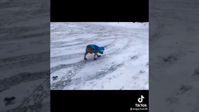 В новых носках?