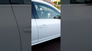 мой небольшой видеообзор на Рено Талисман! много было разговоров об этой машине и вот она перед нам