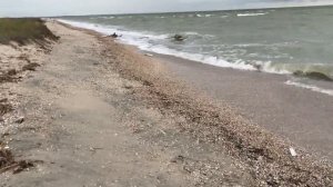 ВЛОГ№232. На море Скиф-2М. Проживание и еда дикарем в заповеднике