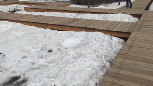 Москва, парк Северный лесопарк, район Северный / бывший поселок Севводстрой