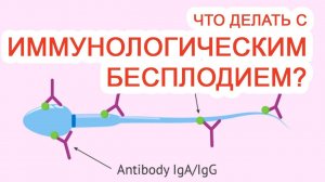 Что делать с иммунологическим бесплодием? / Доктор Черепанов