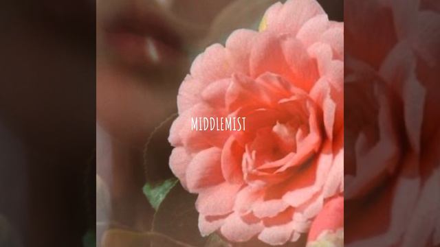 Middlemist смотреть онлайн