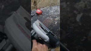 Дисковая пила Bosch professional GKS 600