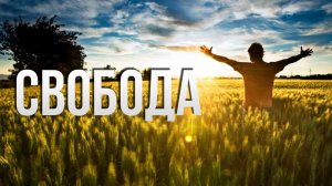 Свобода