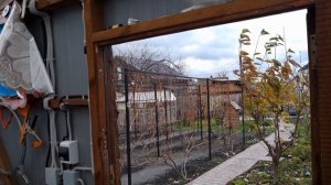 Не спешите укрывать виноград. Когда будет правельнее укрыть виноград на зиму.