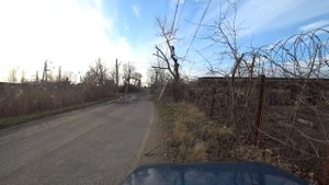 Спил огромного тополя над дорогой