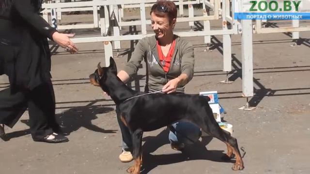 Best Baby смотреть онлайн