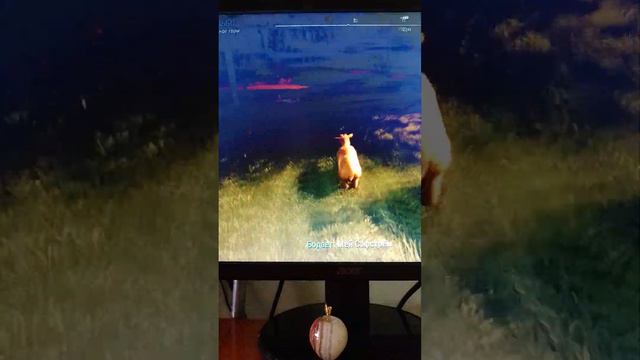 Симулятор козла 3🐐 смотреть онлайн