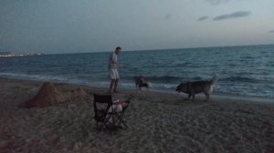 Отдых на море. На машине с собаками!