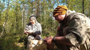 ГРИБЫ ВЕЗДЕ. В ЛЕС ЗА ГРИБАМИ. СБОР ВОЛНУШЕК. СОБИРАЕМ ПОДОСИНОВИКИ. ГРИБЫ ПОШЛИ.