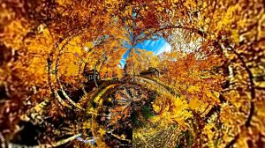 Футажи! Видеофоны! Видеофон Осень-2 на пороге - футаж для монтажа видео!!!