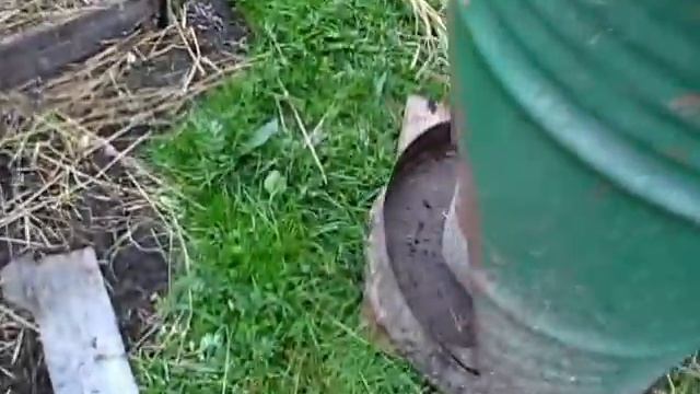 Бункерная кормушка из бочки. смотреть онлайн