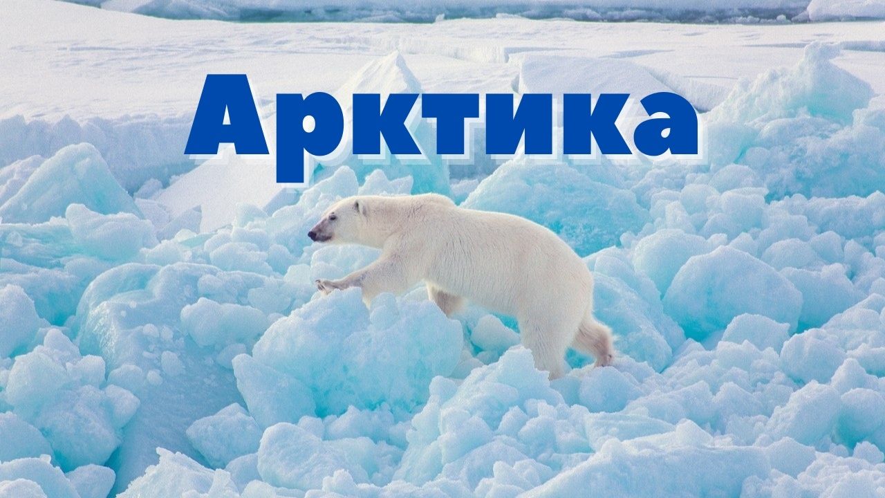 Арктика | На краю Земли | Страна Большой Медведицы | Расслабляющая музыка
