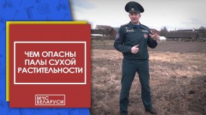 Чем опасны палы сухой растительности: новое видео от МЧС