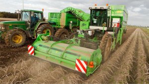 Самоходный картофелеуборочный комбайн AVR Puma+