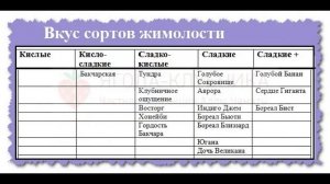 Новые американские сорта жимолости Голубой Банан,Голубое Сокровище,Сердце Гиганта,Клубничная Сенсац
