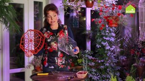 КОРЗИНА для посадки луковичных растений. Ольга Платонова делает корзину для тюльпанов своими руками