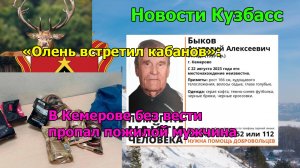 «Олень встретил кабанов»: Новости кузбасс