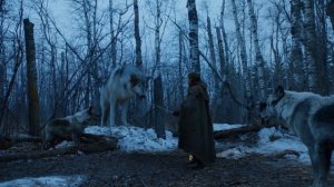 Арья и Нимерия