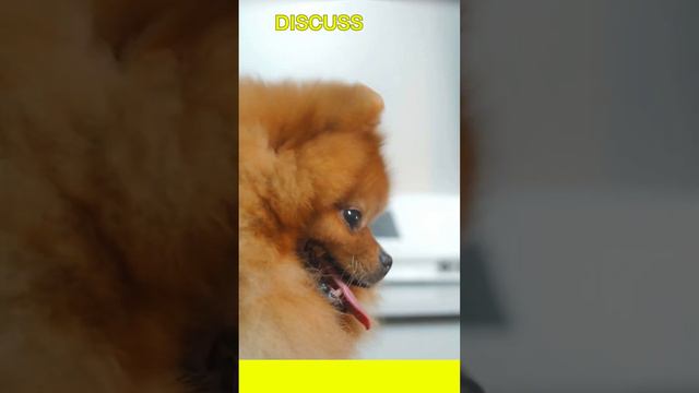 ONLY ON RUMBLE! смотреть онлайн