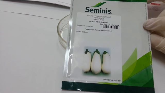 Антифейк. Часть 33. Семена баклажана Бибо F1 от компании Seminis смотреть онлайн