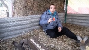 Содержание кроликов в вольерах - первая партия мяса! // Переезд в деревню!