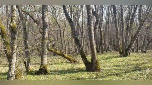 НАТУРАЛЬНАЯ ЧЕРЕПИЦА! В ПОИСКАХ "МАРСЕЛЬКИ" И "ТАТАРКИ".