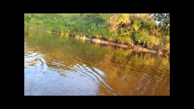 Диалоги о рыбалке, так сказать. смотреть онлайн