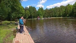 Поимки карпа и на поплавочную снасть, и на фидер. Клёвое место, Лосиный остров.