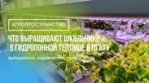 Что выращивают школьники и студенты в молодёжном АГРОпространстве