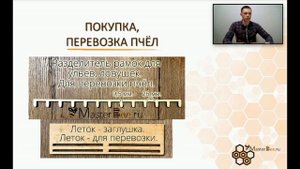 Покупка и перевозка пчёл. Где купить ульи, сушь. Как выбрать сильную пчелиную семью при покупке.
