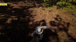 Red Dead Redemption 2 - All Animals Attack & Bite animation