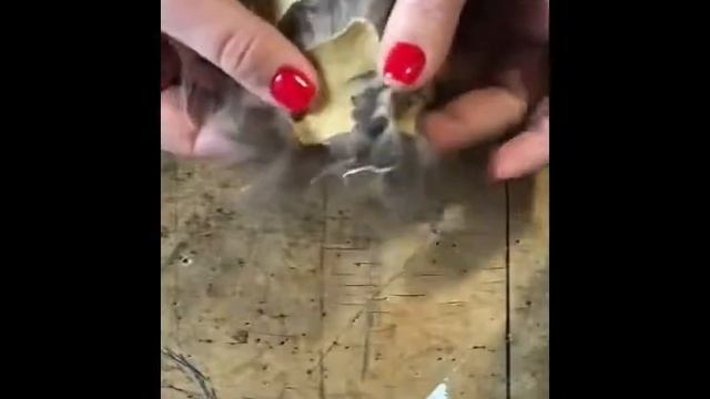 Как проверить качество меха