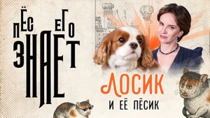 «Пёс его знает»: Лосик и её пёсик