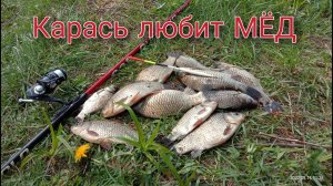 Рыбалка на поплавок весной в мае. Жор карася на утренней зорьке.