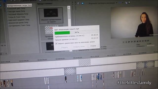 Жизнь в США: ПОСЛЕДНИЕ ПРИГОТОВЛЕНИЯ К ПЕРЕЕЗДУ | VLOG May 2 - 7, 2014 смотреть онлайн