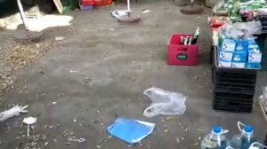 Вьетнам,Муйне,рынок